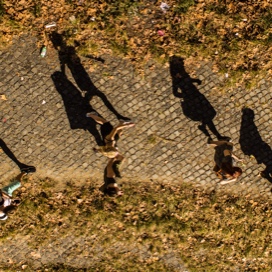 Students on campus